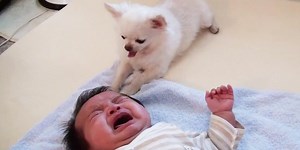 World's Sweetest Dog Offers His Treat To Comfort Crying Baby
