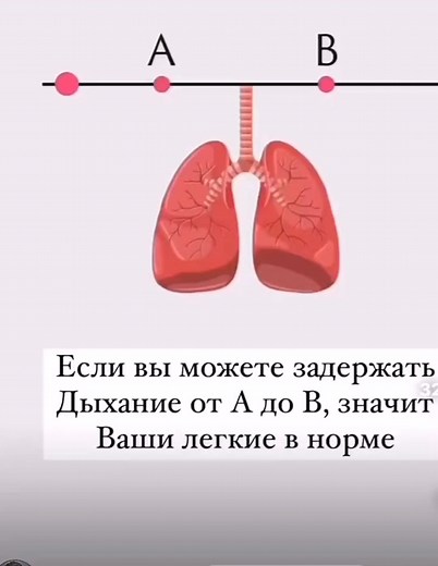 Understanding Lung Health Through Visual Representation