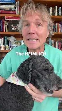 Dog Choking? How To Do The Dog Heimlich #Shorts