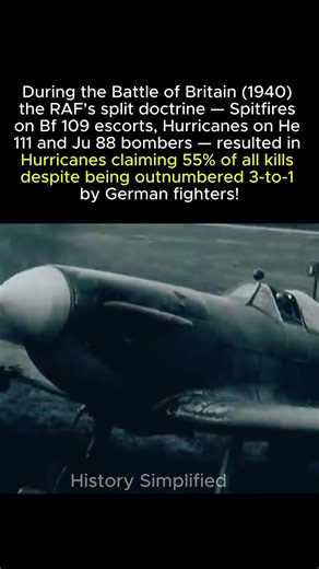 Spitfires Fought Escorts. Hurricanes DESTROYED the Bombers. Why? || WW2 #shorts #ww2