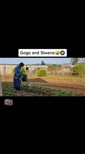 #gogoeswatini #slwane #eswatinitiktok slwane hambo tsenga🤣😂🙆‍♂️🇸🇿