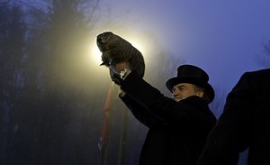 Everything you need to know about Groundhog Day, and meteorologist marmot Punxsutawney Phil