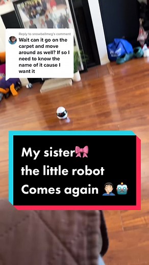 Cute Cat and Dog Interactions with Little Robot and Camera