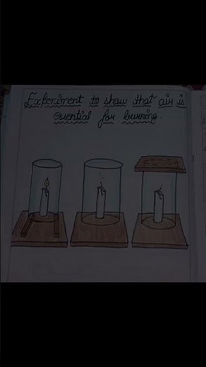 NCERT SOLUTIONS of class 8 Science chapter 6 Combustion and flame (Exercise)