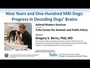 Animal Matters Seminar: Nine Years and One-Hundred MRI-Dogs: Progress in Decoding Dogs’ Brains