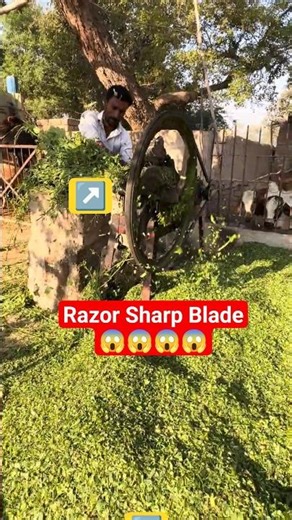 Powerful Farm Machine Cutting Fodder