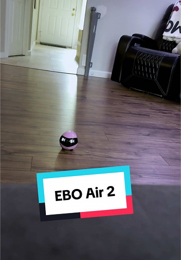 EBO Air 2: The Fun and Functional Pet Camera