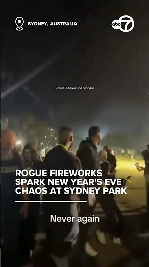 Rogue fireworks spark New Year's Eve chaos at Sydney park