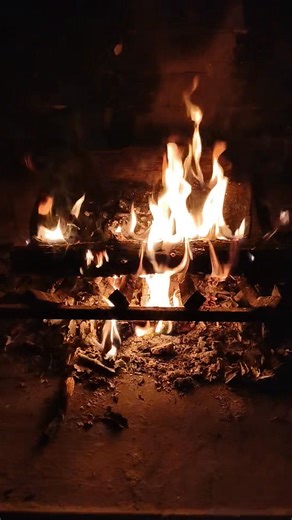 First fire of the season | Duck Whisperer Animal Rescue