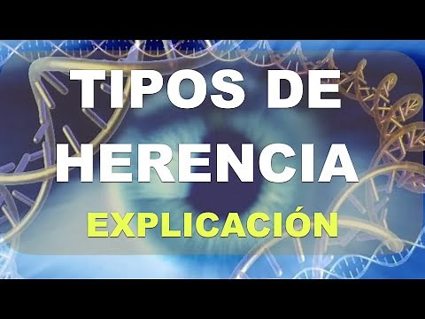 Tipos de herencia: Dominante vs Recesiva. Explicación.
