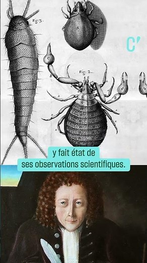 "Micrographia" : le livre qui permet d'observer l'infiniment petit en grand format