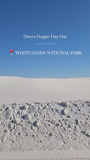White Sands National Park is less than an hour from Las Cruces, NM. It is a pet-friendly place you can bring the WHOLE family and fun for everyone! #therealnewmexico #visitlascruces #newmexico #lascruces #whitesandsnationalpark #whitesands #petfriendly #petfriendlytravel #shihtzu