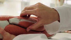 2.3K views · 26 reactions | Exercise and Sports Science is a branch of Physiotherapy which, apart from being a lucrative and highly respected career is also extremely interesting and fun to learn. If you are looking for a pathway to a Bachelors Degree in Exercise and Sports Science or Bachelor of Business (Sport Management) or Bachelor of Nutrition Science to Deakin University, call IIHS on +94 114 366 073 to learn how you can get there. | International Institute of Health Sciences | Facebook