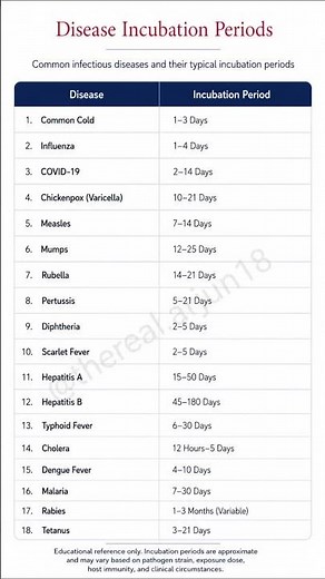 Disease Incubation Periods Explained | Common Infectious Diseases & Symptom Onset Timeline