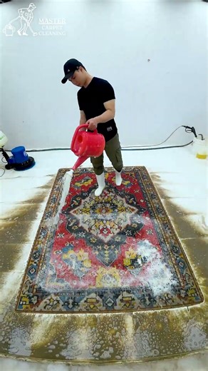 The 60 Second Rug Clean That Will Blow Your Mind! #carpetcleaning #shorts