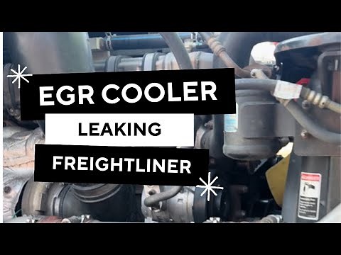 EGR cooler leaks from this Freightliner Cascadia, how to tell your EGR cooler is bad