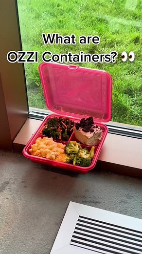 Northeastern Dining's OZZI Containers: Sustainable To-Go Option
