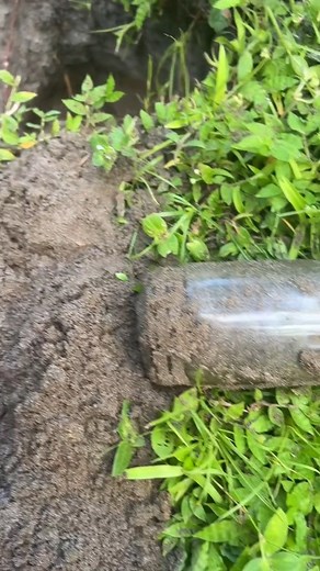 562K views · 4.1K reactions | #treasure #treasurehunting #metaldetecting #buriedtreasure #silver #coin #coins #jar #school #history #treasurehunt #m. | The Golden Hour | Facebook