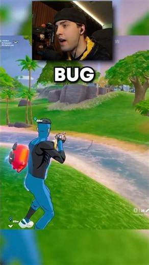 I Found Another Bug 💔