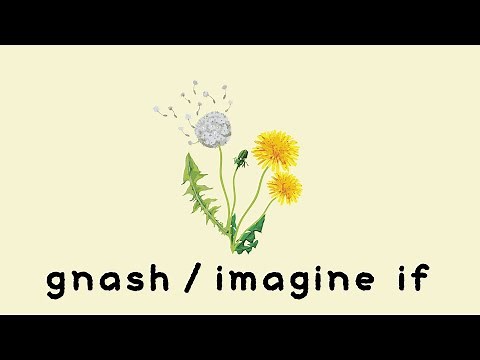 【カタカナ付きカラオケ動画】「imagine if」ナッシュ
