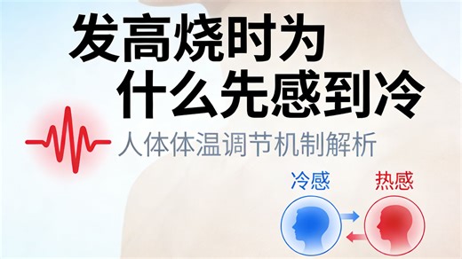 发高烧时为什么先感到冷