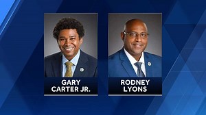 Two state representatives qualify for Senate