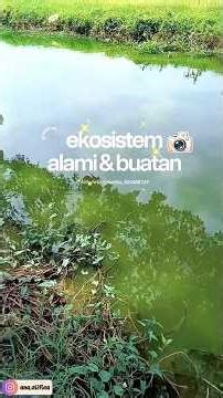 Modul 2 KP 1, ekosistem alami dan ekosistem buatan #UT #tugaspraktikum #ekosistem