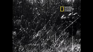 Ripcord July 22 1970