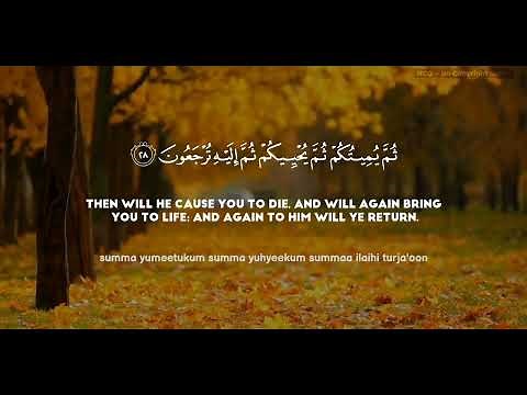 Surah Al Baqarah With English translation Fatih Seferagic | Zero Point | Saad Khan Afridi
