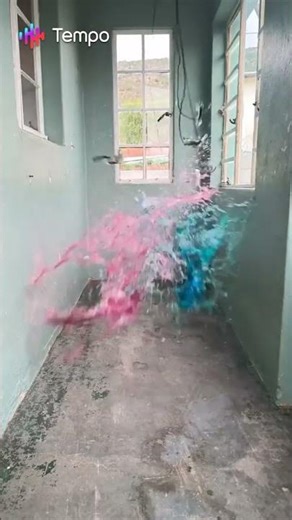 Bottle Colision Of Bulldog Planes (2013) #Tempoapp