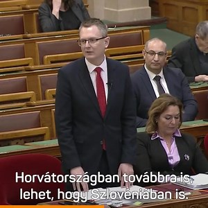 36K views · 1.2K reactions | Wintermantel Zsolt on Reels | Facebook