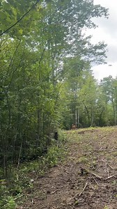 🦌 28 Acres Bordering National Park – Unrestricted! 🦌 Hunter’s paradise in the hills of Scott County, TN — 28.48 acres with 370 yards of Big South Fork frontage. ✔️ Direct access to thousands of acres of public hunting land ✔️ Internal trails for easy access to every corner of your land ✔️ Multiple build sites surrounded by mature timber ✔️ Short hike to Skull Creek Falls & Burnt Mill Falls ✔️ Brimstone ATV Park just 11 miles away for 300 miles of OHV trails Set up your hunt camp, build a weeke