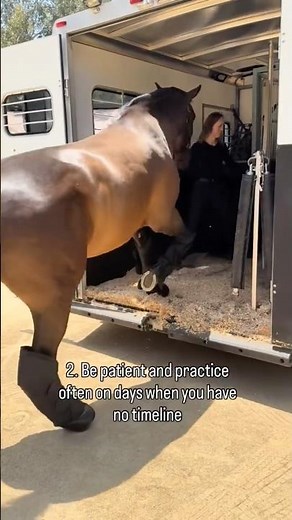 How to load your horse into the trailer #horse #equestrianjourney #equestrian #horsemanship #horses