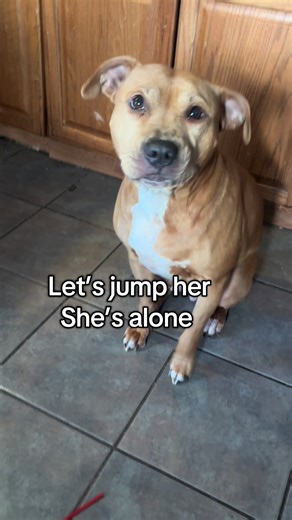 Hills have eyes | the hills have eyes