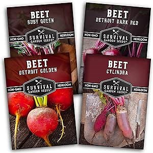 Beet Seeds 4 Variety Pack for Planting - Heirloom Beet Seed Collection: Detroit Dark Red, Golden Detroit, Ruby Queen, Cylindra - Non-GMO Vegetable - Survival Garden Seeds