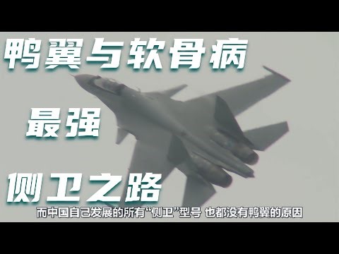 【俄方回憶錄】殲15雙座“咆哮鯊”的身世，只有他們自己能說清。續一