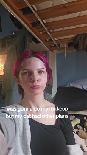 she started having kittens as soon as i got done with my brows