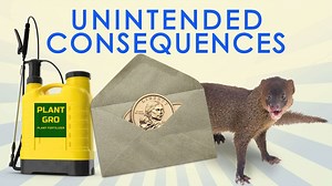Great Moments in Unintended Consequences: Dollar coins, fertilizer ban, and the Hawaiian Mongoose (Vol. 14)