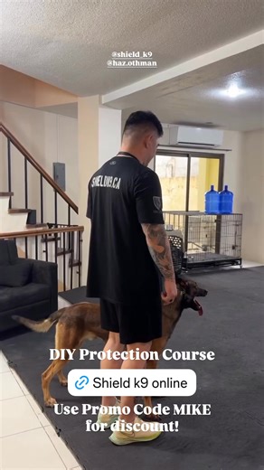 DIY Protection Course | Learn how to train your dog to protect you. No professional decoy or equipment required! Use promo code MIKE for discount Www.shieldk9online.com | Dog Trainer Cebu