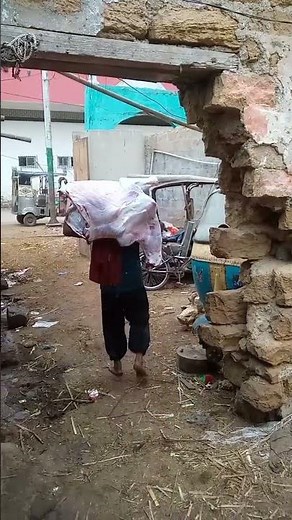 "Full Qurbani Cow Slaughter & Butchering Process | Halal Meat Distribution"