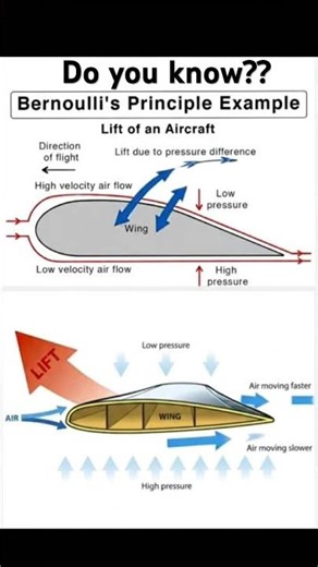 How aircraft Liftsoff?? #bernoullisprinciple #knowledge #viral #aircrafts #aviation #aviationdaily