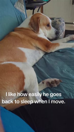 Jeff Hunter (@thejeffrey.hunter)’s videos with original sound - Jeff Hunter