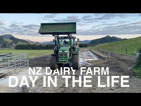 NEW ZEALAND FARMING - DAY IN THE LIFE