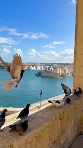 What would you do with 4 days in Malta? Explore ancient temples, unwind on pristine beaches, wander through historic cities like Valletta and Mdina, and savour the Mediterranean flavours. The perfect mix of adventure, culture, and relaxation awaits you. #ExploreMore 📹: @lounge.guru | Visit Malta