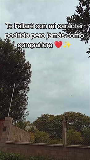 Jamás como compañera: La esencia del amor