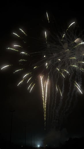 3 inch 25 Shots Display Shells Fireworks #fireworkshow #huge #pyro #fyp #4ofjuly #fireworks