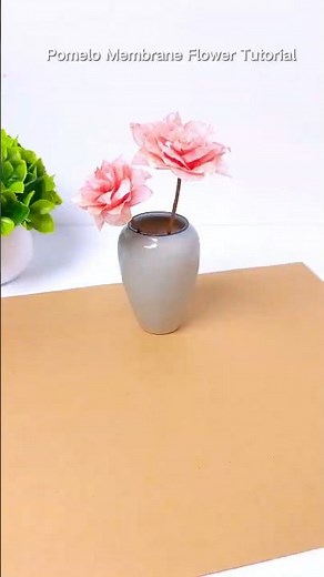 Pomelo Membrane Flower Tutorial | Creative Natural Craft