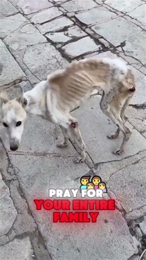 He Almost Quit in Tears… Then This Happened 😱🔥