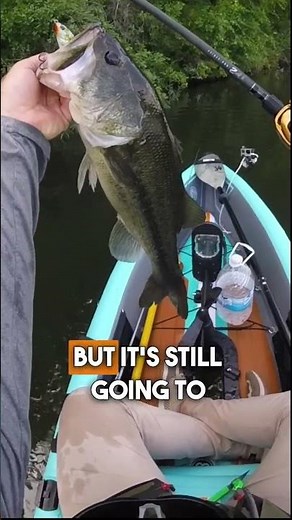 Fishing Rod Review: Lew’s TP2 Gen 3 Casting Rod #fishing #outdoorgearreview #bassfishing #bass