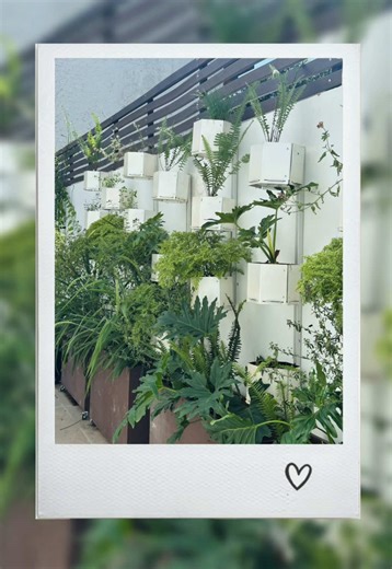 “Los jardines y el paisaje no son espacios estáticos que deben controlarse, sino lugares donde la naturaleza debe seguir su curso, donde las especies vegetales deben instalarse de forma espontánea y desarrollarse libremente de modo que la experiencia estética surja de la contemplación de los propios procesos espontáneos de sucesión biológica”. EL JARDÍN EN MOVIMIENTO, GILLES CLEMENT. Acá en imágenes les compartimos cómo fue la creación, el diseño y armado del jardín Ayni 🤍 qué más les podemos d